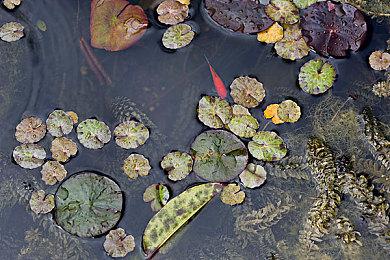 《碧海黑帆》发布第一赛季“怒潮”宣传片 现已正式推出